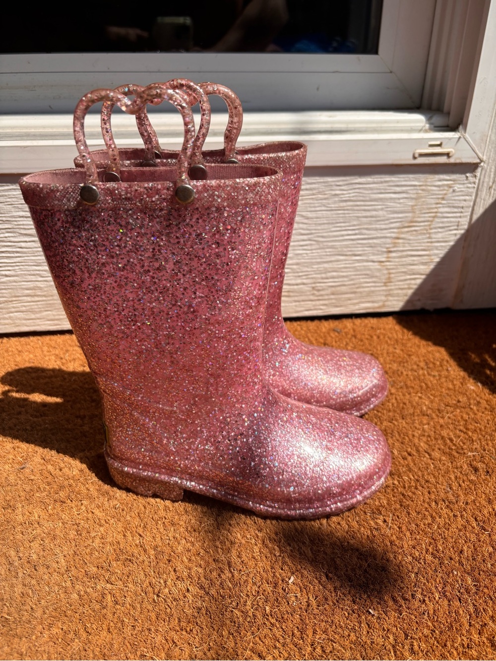 Western Chief Glitter Rainboots